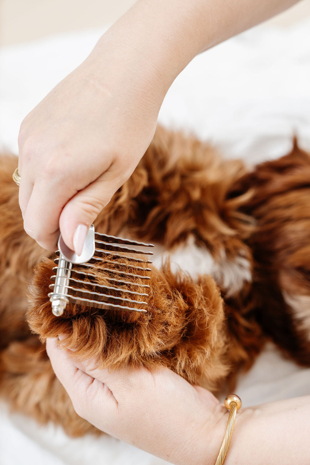 Pup Parent Essentials - Your Pet Connection