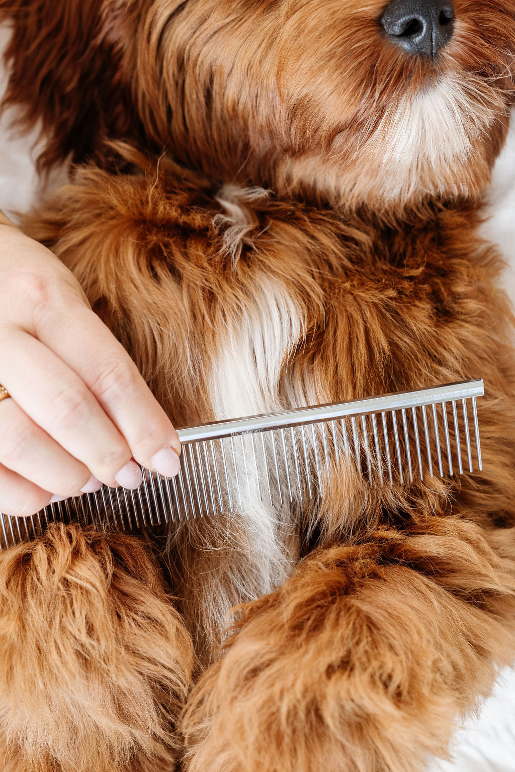Pup Parent Essentials - Your Pet Connection