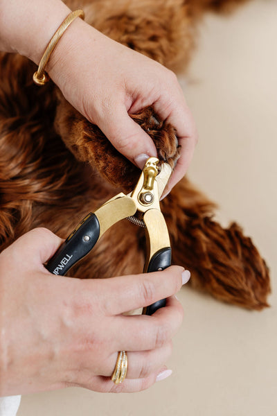 Iconic Nail Duo - Your Pet Connection