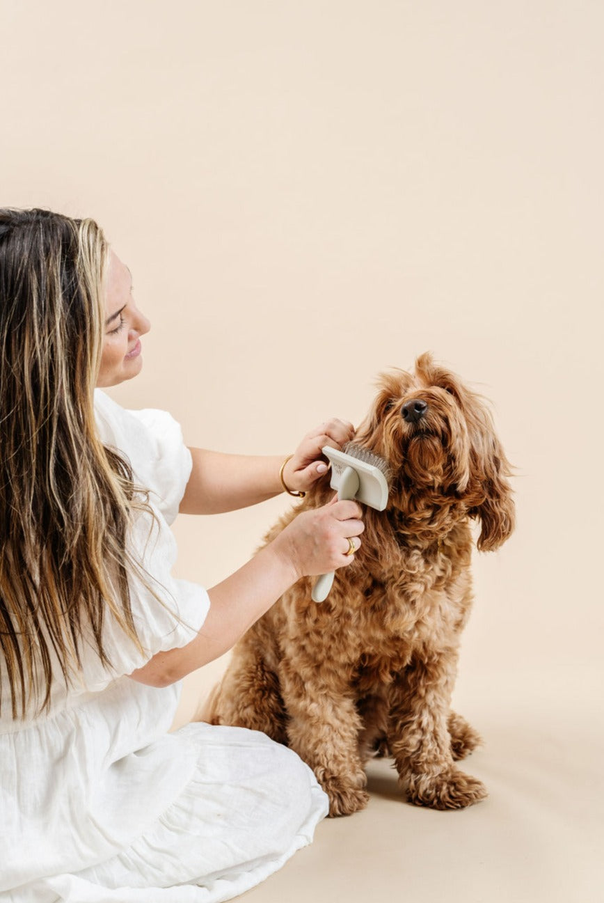 Everyday Slicker Brush - Your Pet Connection