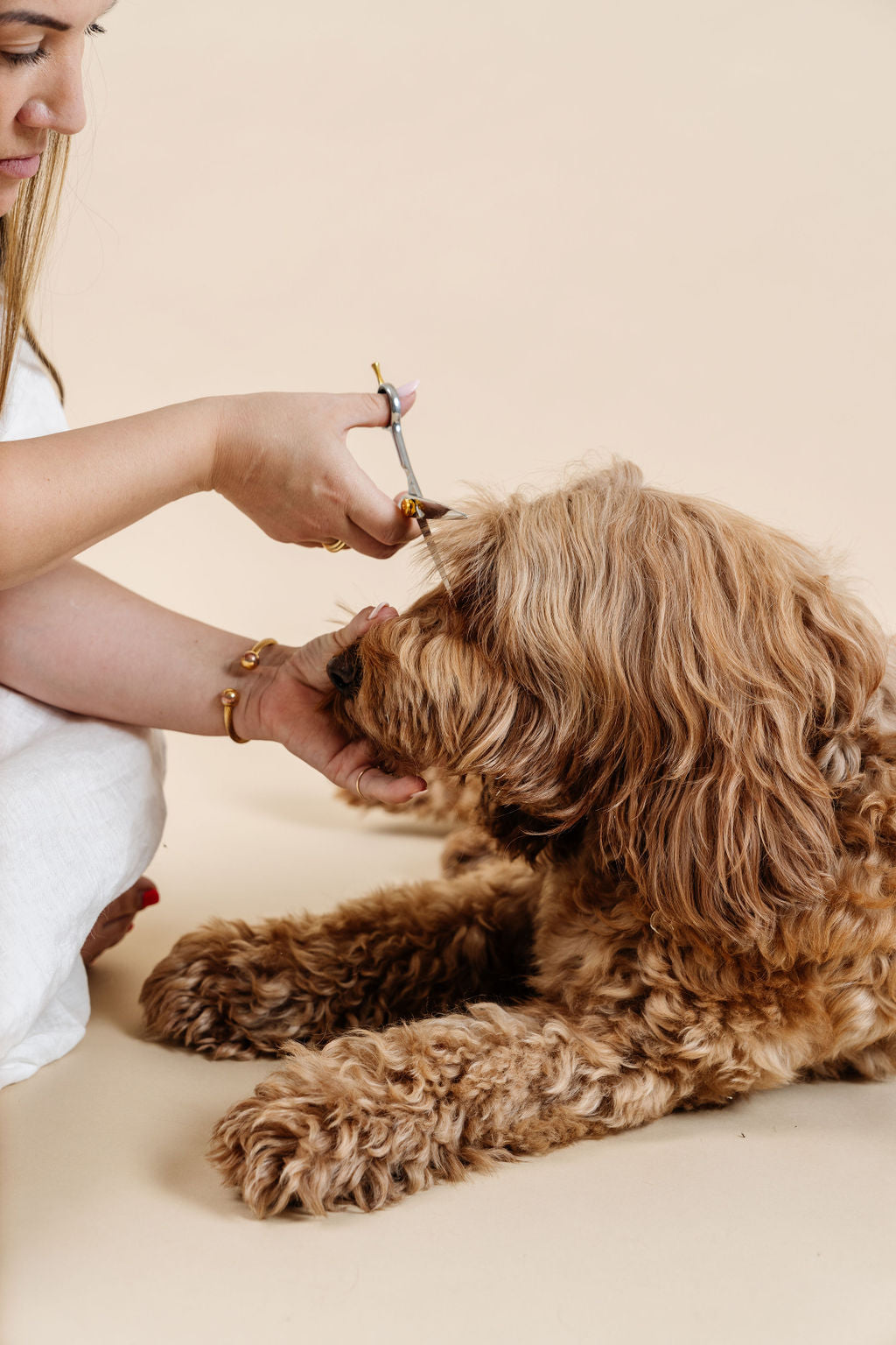 Ultimate Dog Grooming Kit - Your Pet Connection