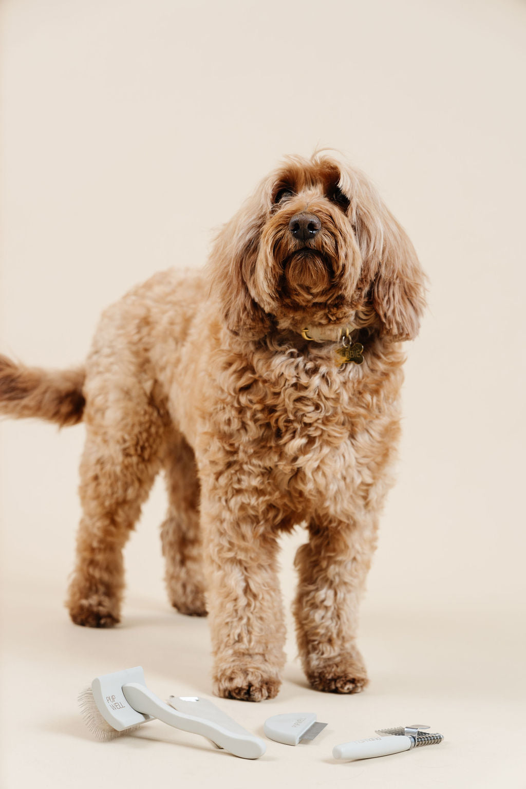 Pup Parent Essentials - Your Pet Connection