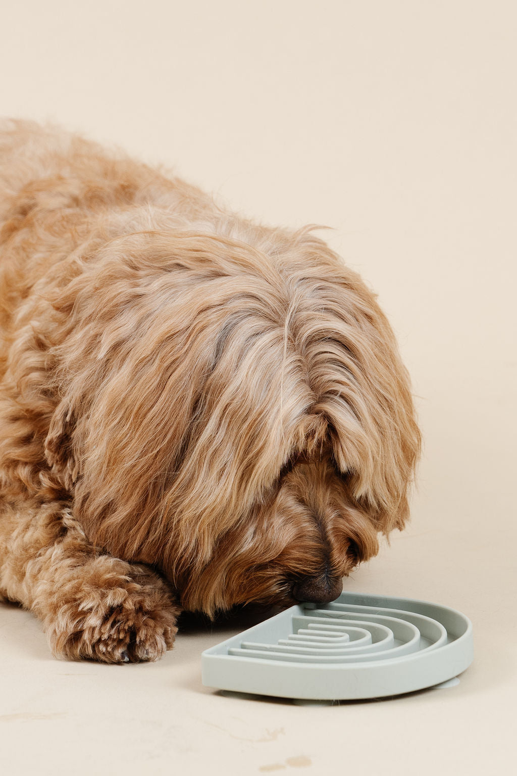 Happy Feelings Lick Mat - Your Pet Connection