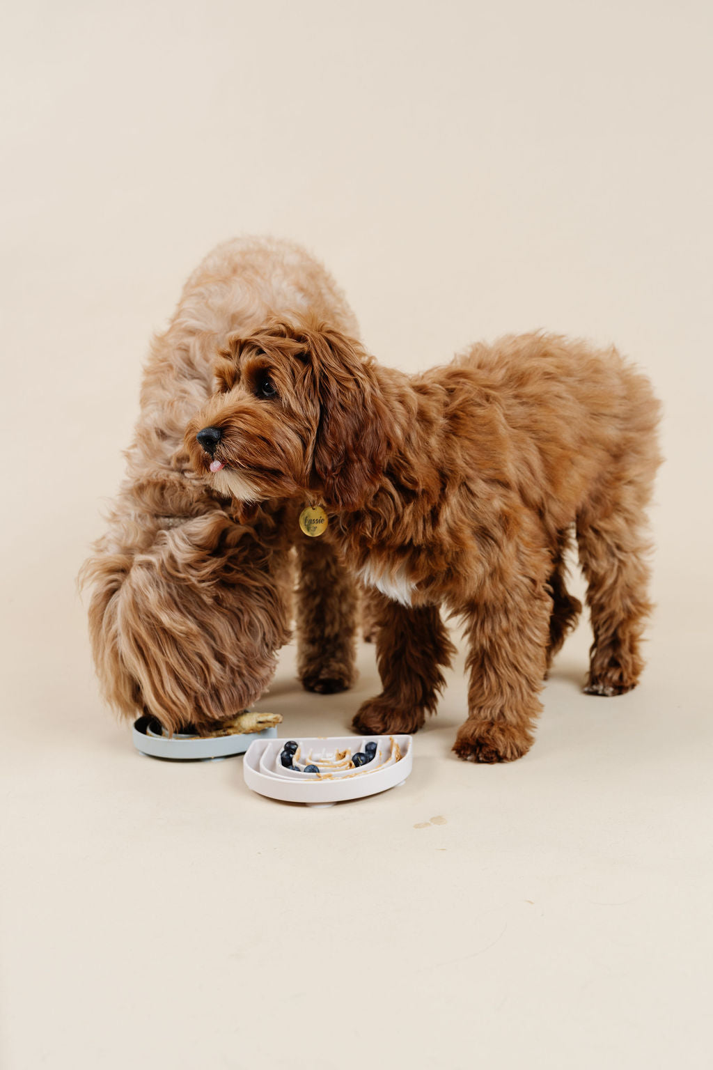 Happy Feelings Lick Mat - Your Pet Connection