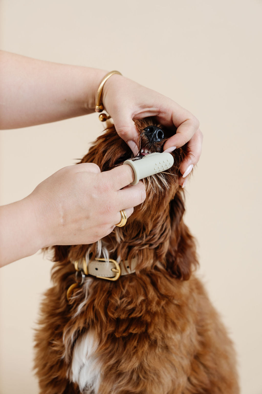 Puppy Breath Toothbrush - Your Pet Connection