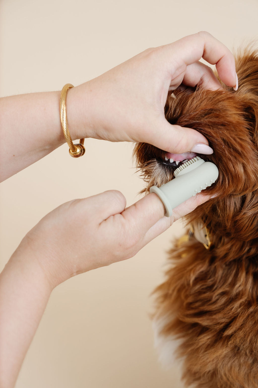 Puppy Breath Toothbrush - Your Pet Connection