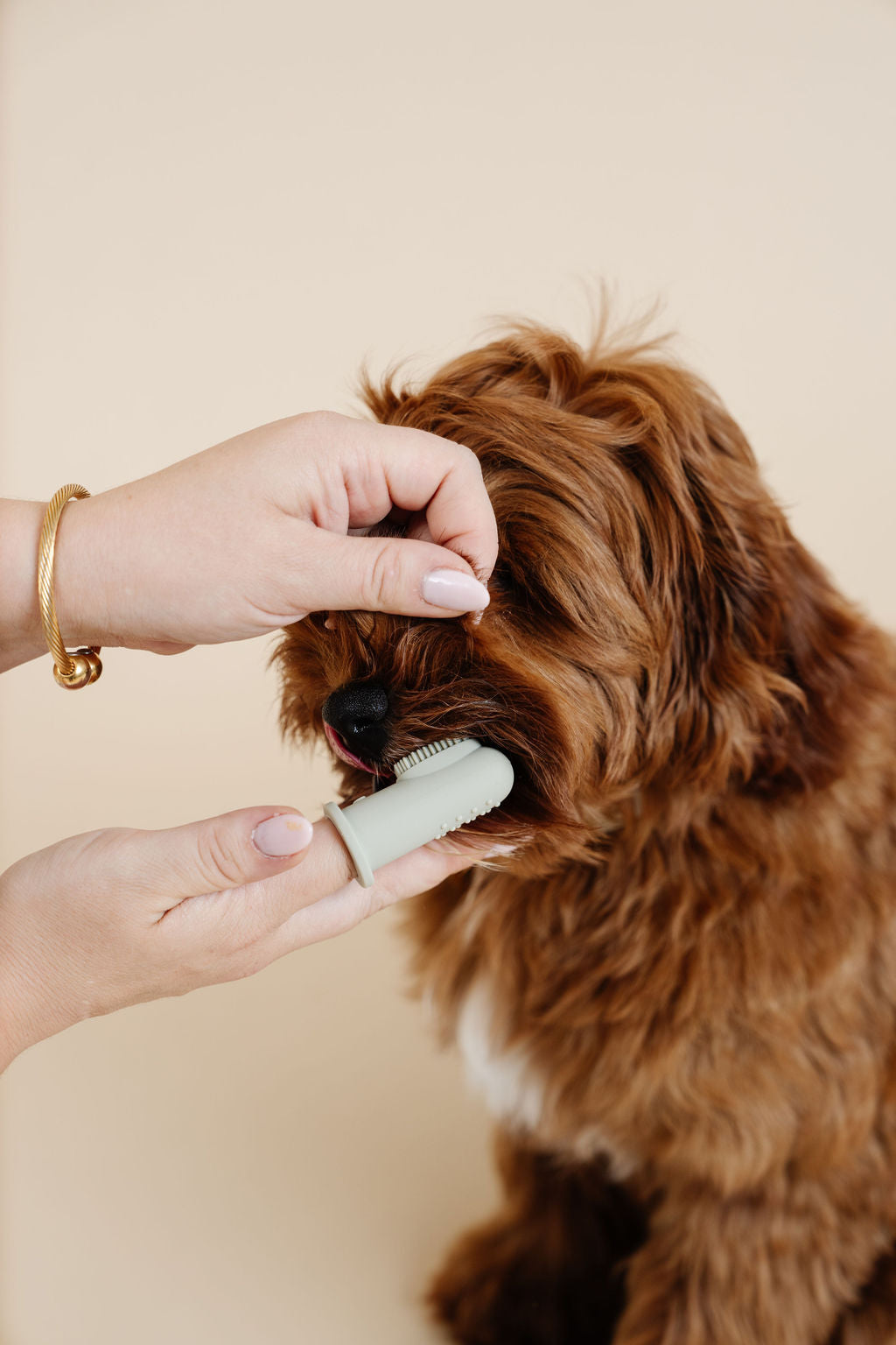 Puppy Breath Toothbrush - Your Pet Connection