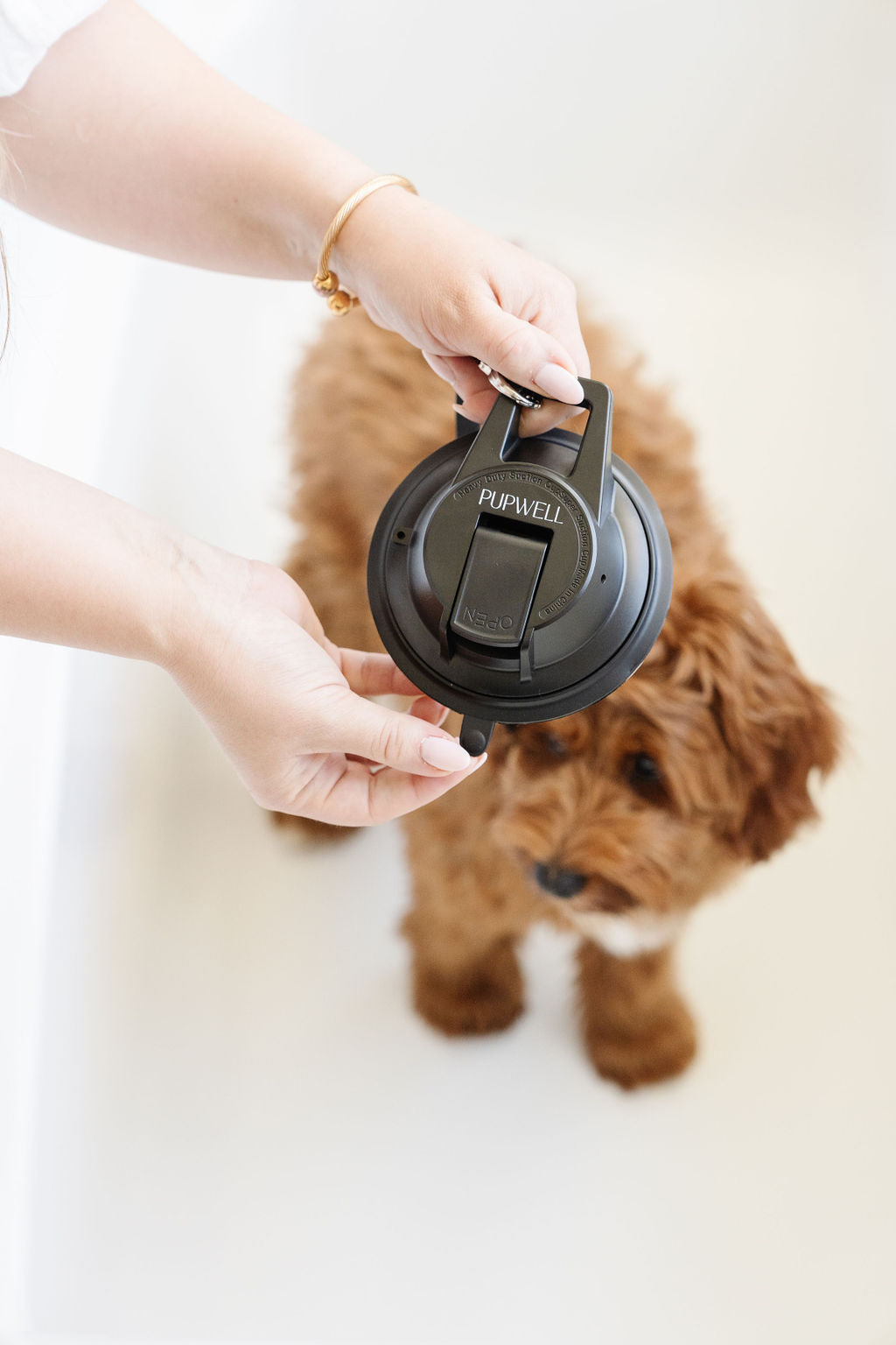Stay In Place Leash - Your Pet Connection