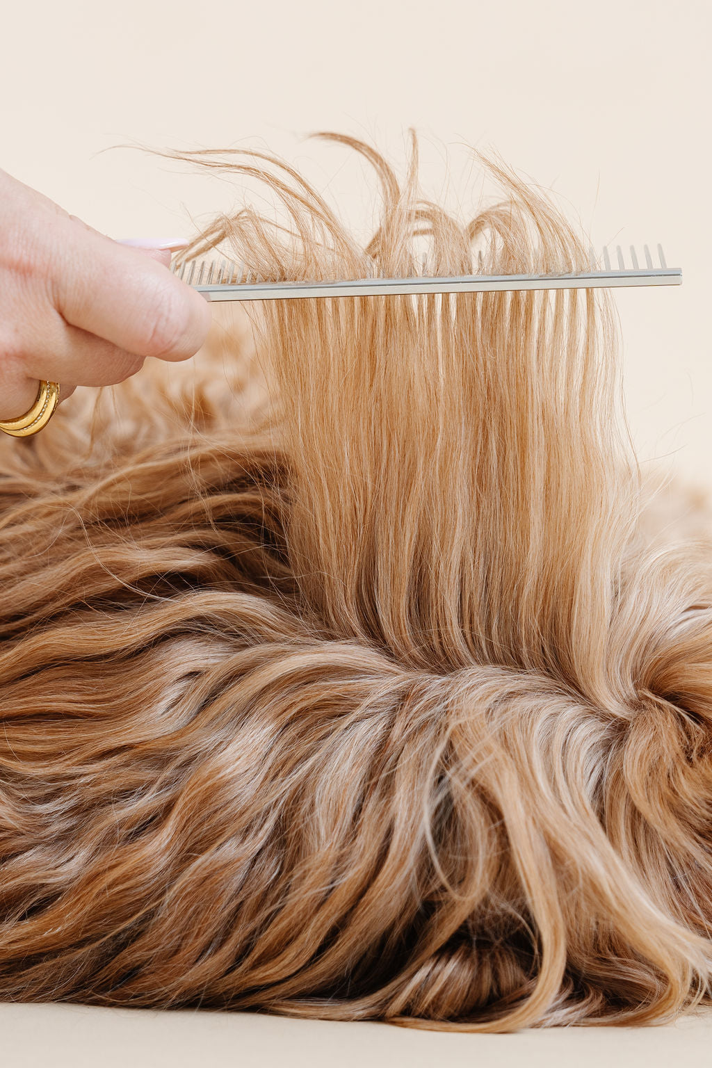 Pup Parent Essentials - Your Pet Connection