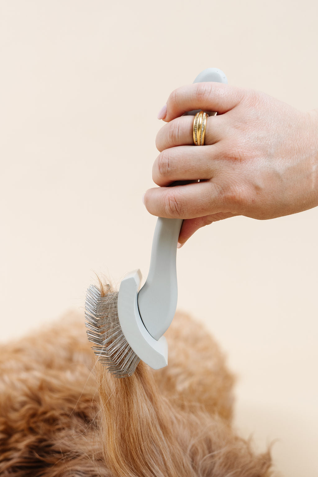Everyday Slicker Brush - Your Pet Connection