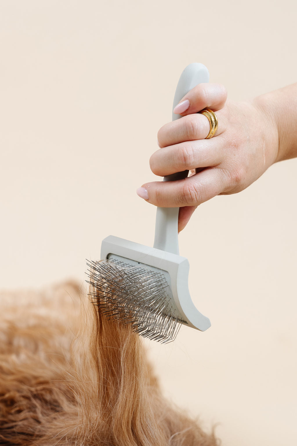 Pup Parent Essentials - Your Pet Connection