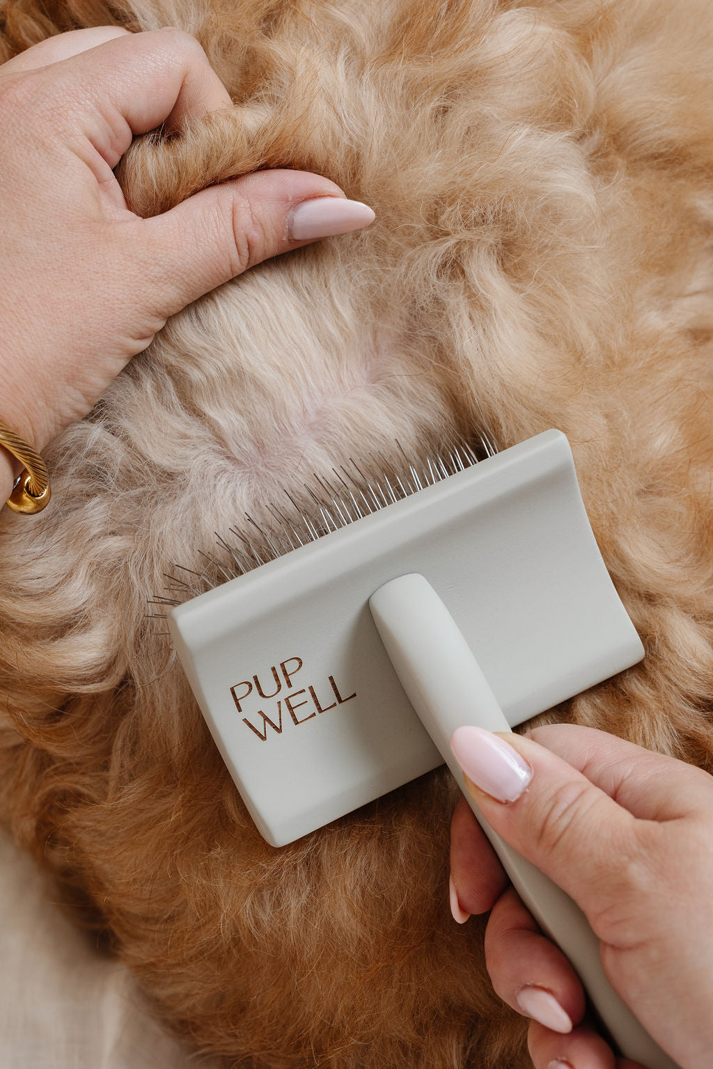 Pup Parent Essentials - Your Pet Connection
