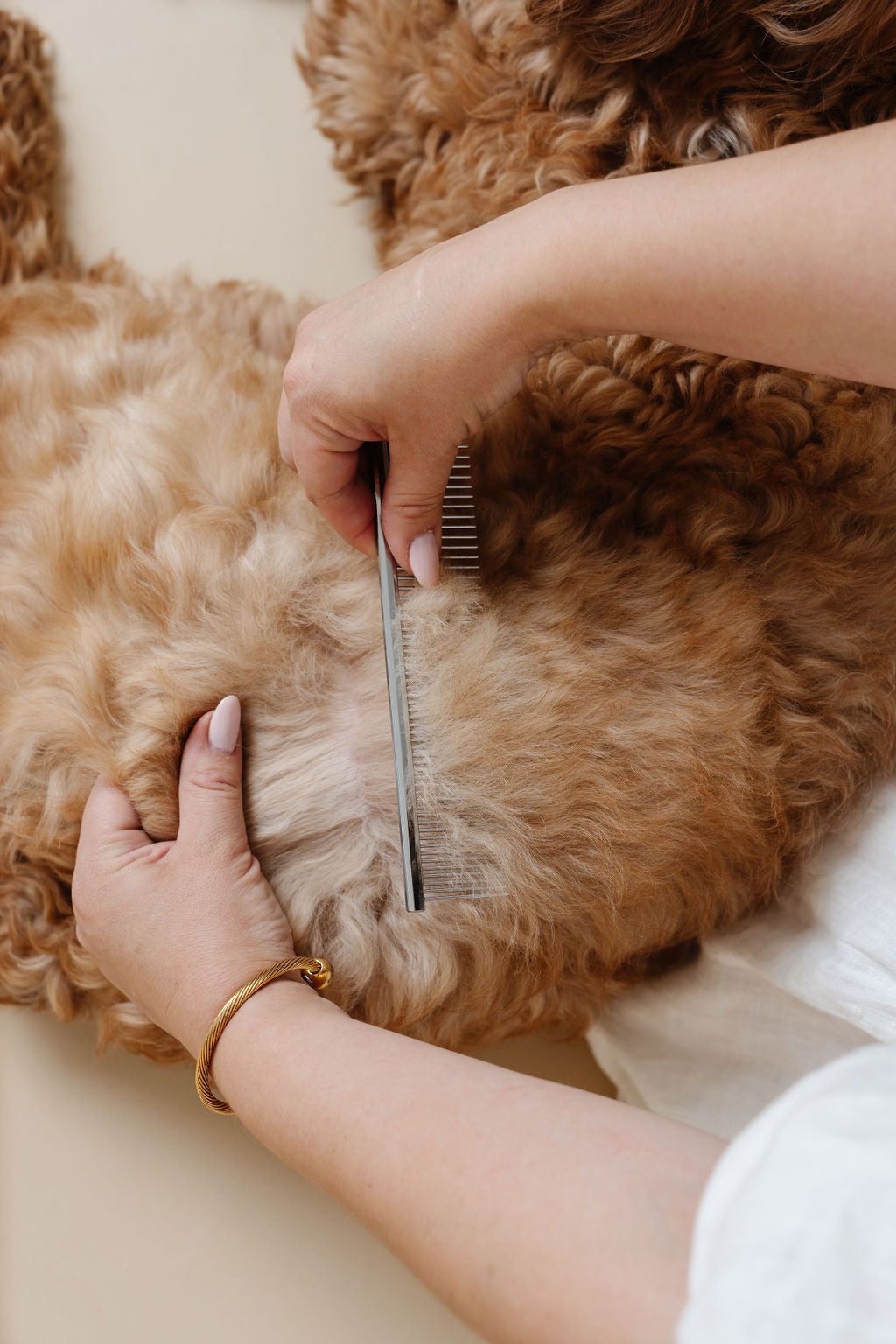 Pup Parent Essentials - Your Pet Connection