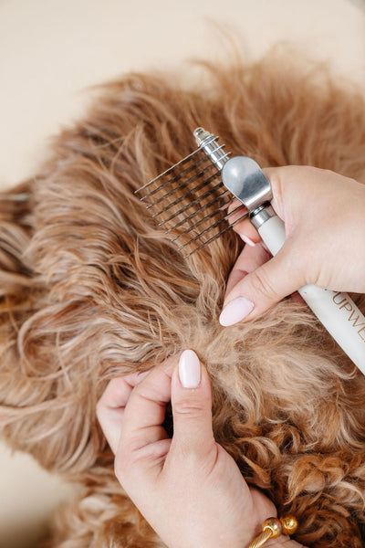 The Detangler - Your Pet Connection