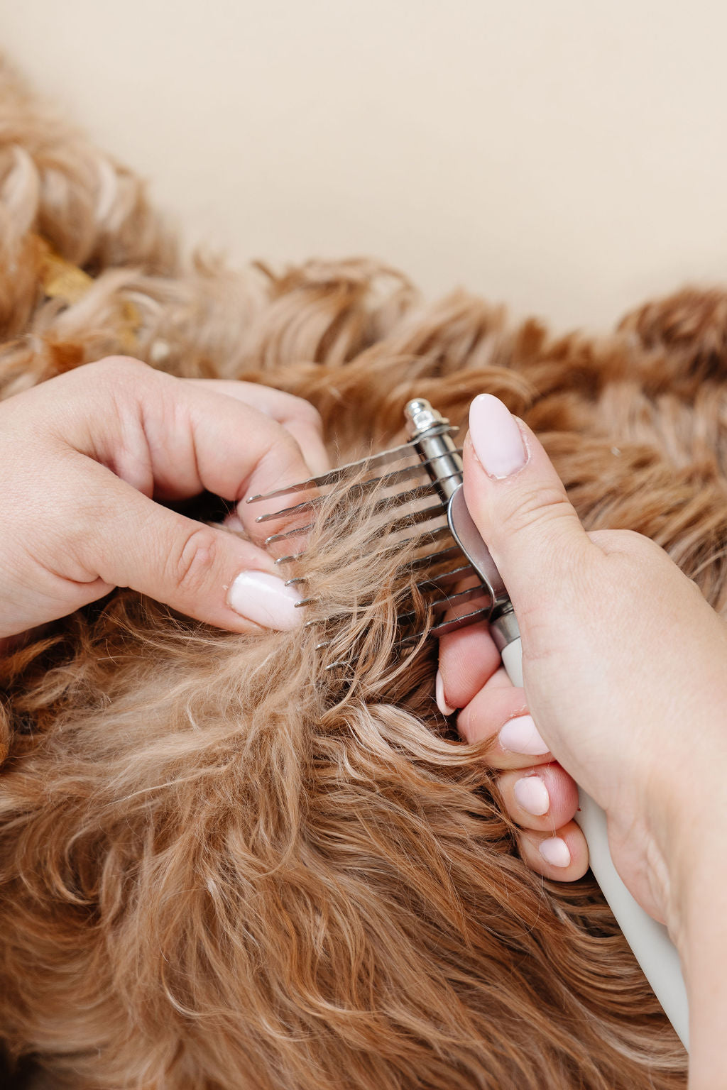 The Detangler - Your Pet Connection