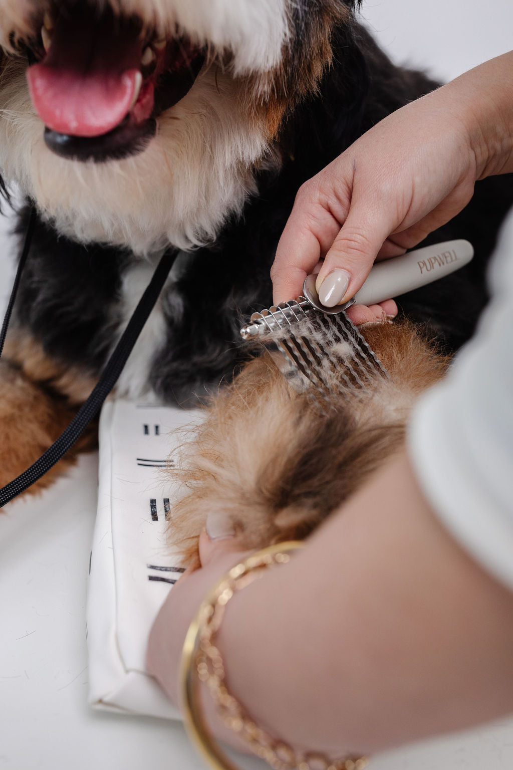 The Detangler - Your Pet Connection