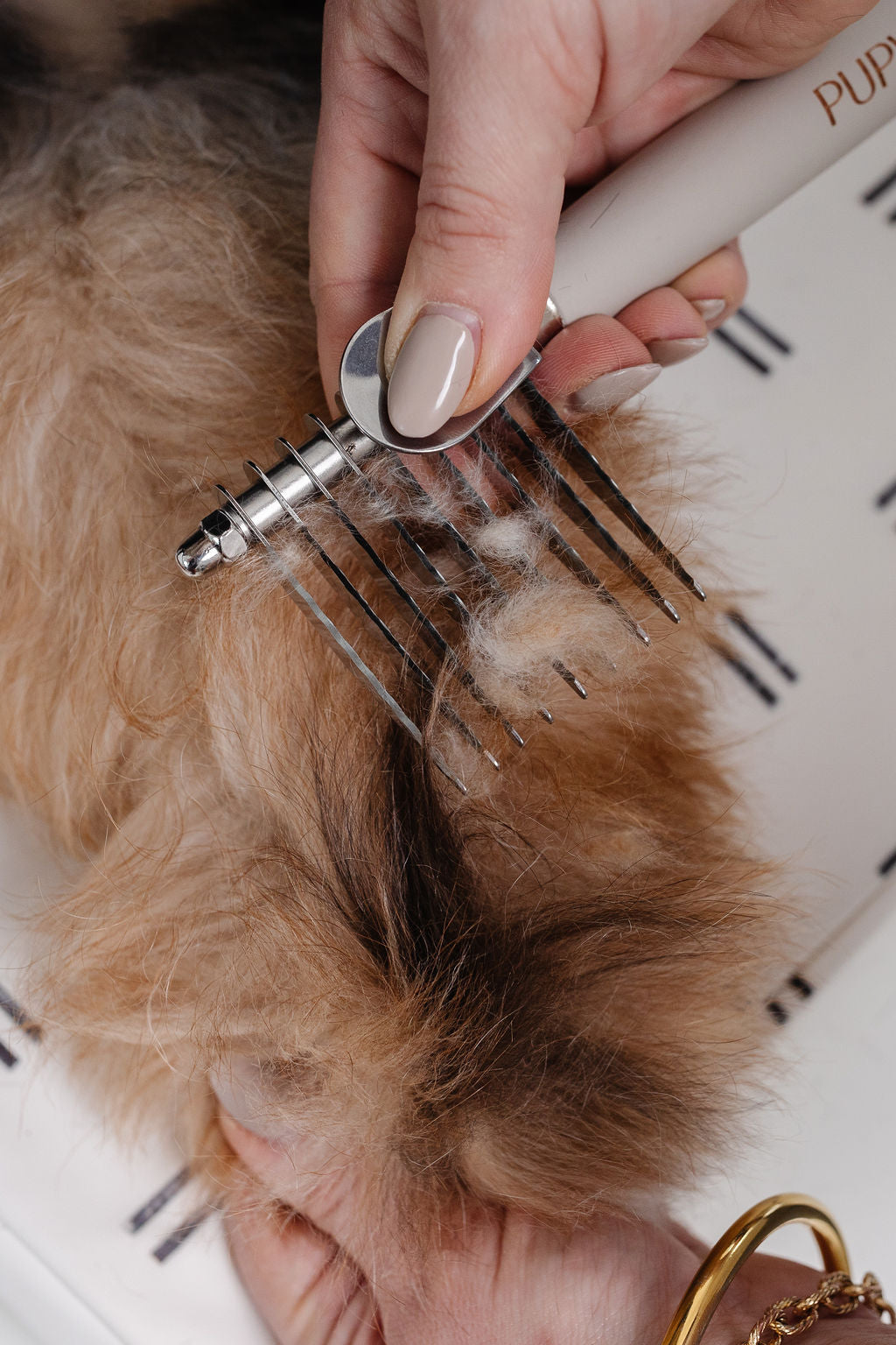 The Detangler - Your Pet Connection