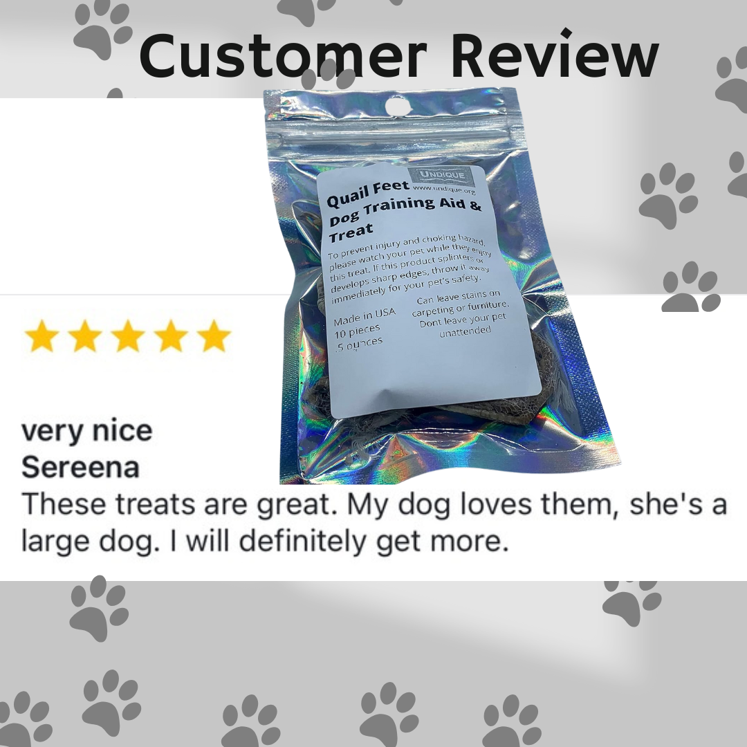 Quail feet Dog Training aid & Treat - Your Pet Connection