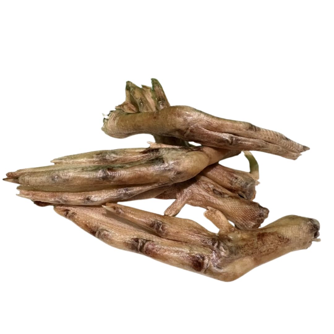 Freeze-Dried Duck Feet for Dogs, Natural Joint Support, 10 Count - Premium Quality Made in USA - Your Pet Connection