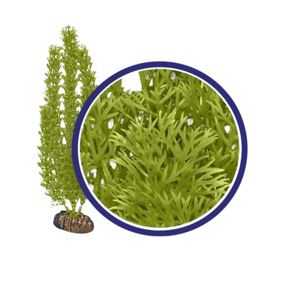 Weco Products Freshwater Series Foxtail Aquarium Plant Green, 1ea/6 in