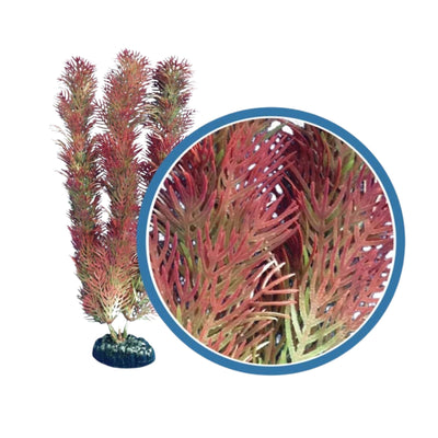 Weco Products Freshwater Pro Series Cabomba Aquarium Plant Red, 1ea/9 in