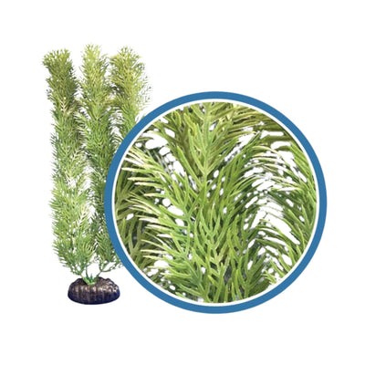 Weco Products Freshwater Pro Series Cabomba Aquarium Plant Green, 1ea/9 in