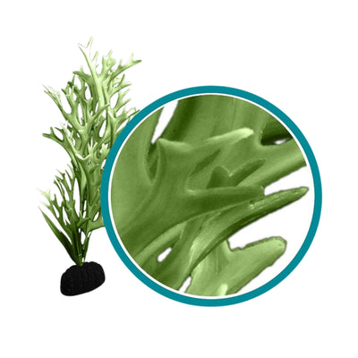 Weco Products Marine Pro Series Giant Kelp Aquarium Plant Green, 1ea/9 in, Giant