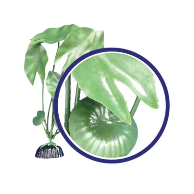 Weco Products Freshwater Series Tiger Lotus Aquarium Plant Green, 1ea/12 in