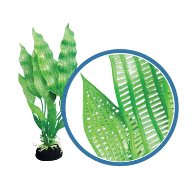Weco Products Freshwater Pro Series Madagascar Lace Aquarium Plant Green, 1ea/12 in