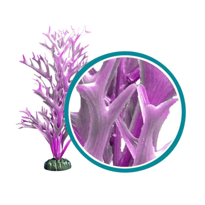 Weco Products Marine Pro Series Giant Kelp Aquarium Plant Purple, 1ea/30 in, Giant