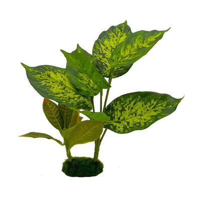 Blue Ribbon Pet Products Tropical Gardens Dieffenbachia Aquarium Plant 1ea/10in.