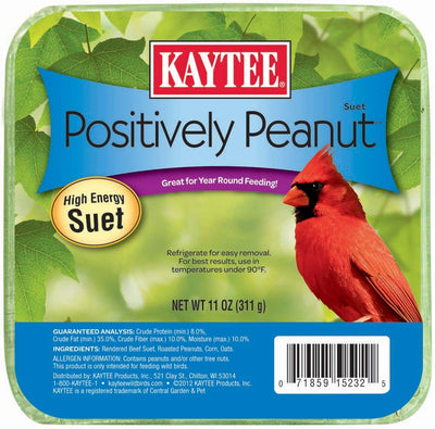 Kaytee Positively Peanut High Energy Mini Suet 1ea/11 oz