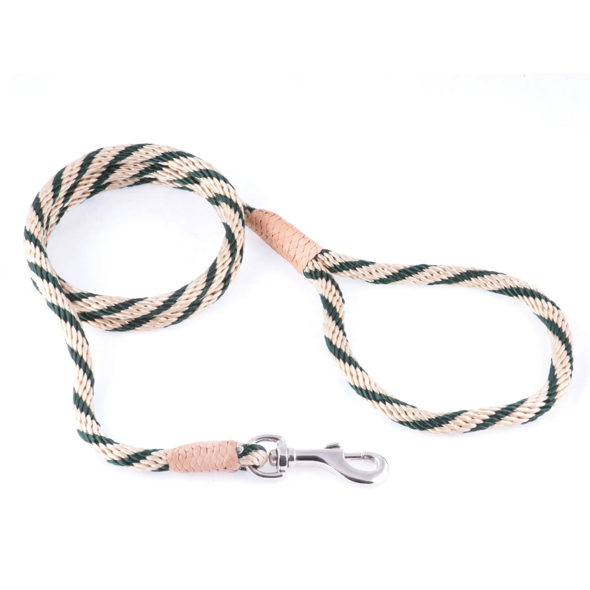 Nylon Snap Leads (4 ft  x 1/8in or 4mm) - Your Pet Connection
