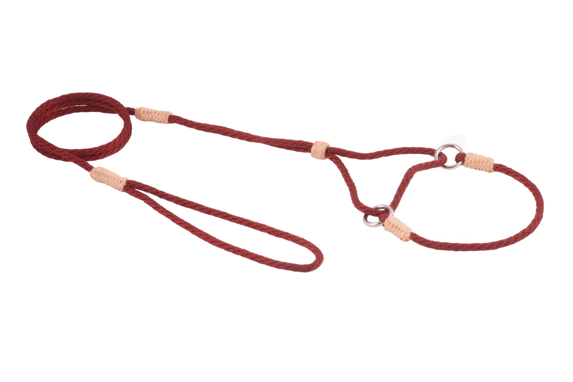 Nylon Martingale Leads (8in x 1/8in or 4mm) - Your Pet Connection