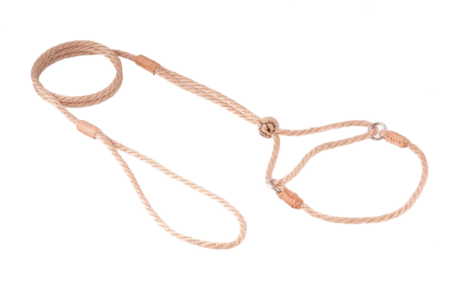 Nylon Martingale Leads (8in x 1/8in or 4mm) - Your Pet Connection