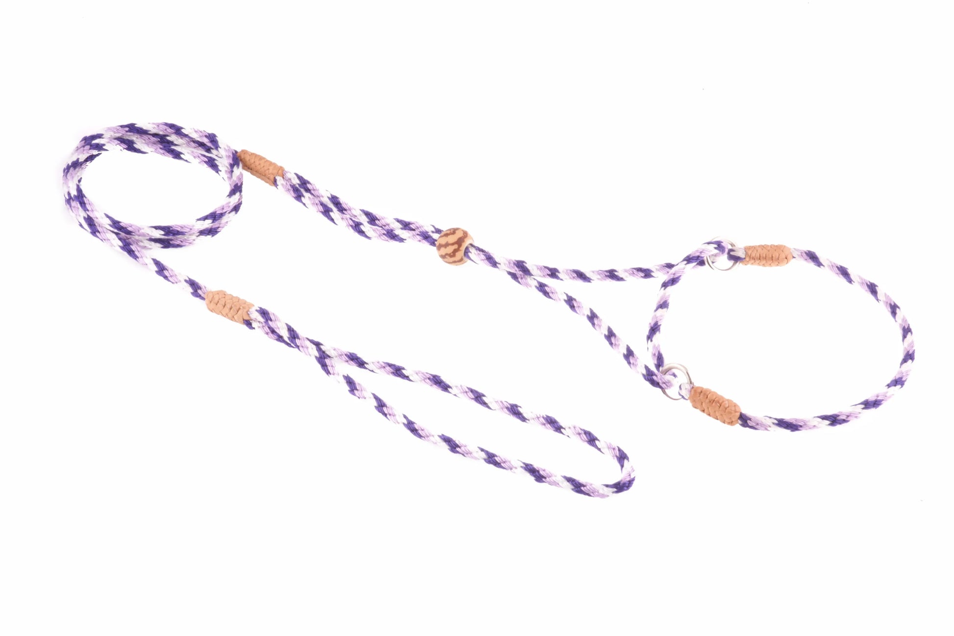 Nylon Martingale Leads (8in x 1/8in or 4mm) - Your Pet Connection