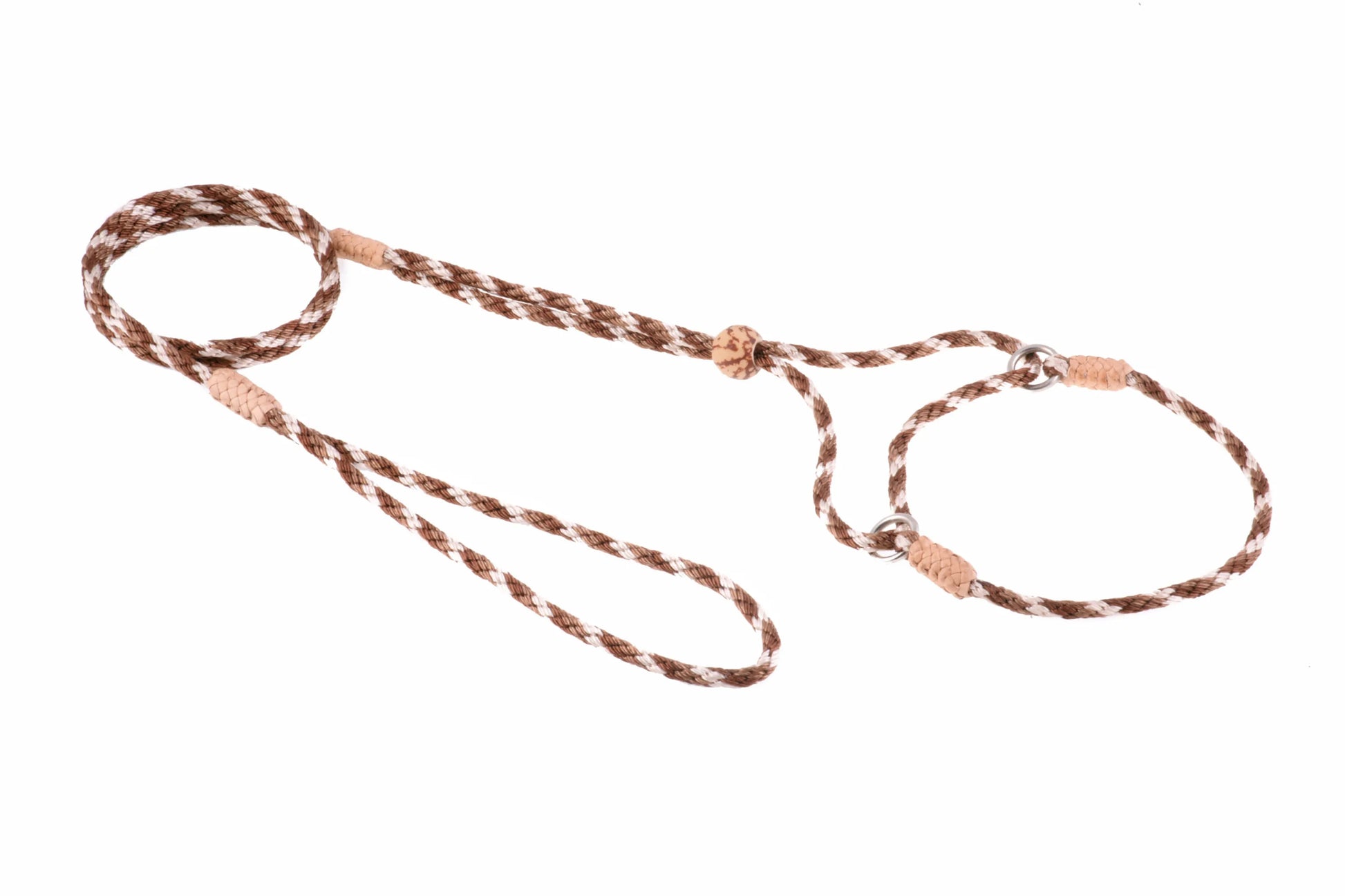 Nylon Martingale Leads (8in x 1/8in or 4mm) - Your Pet Connection