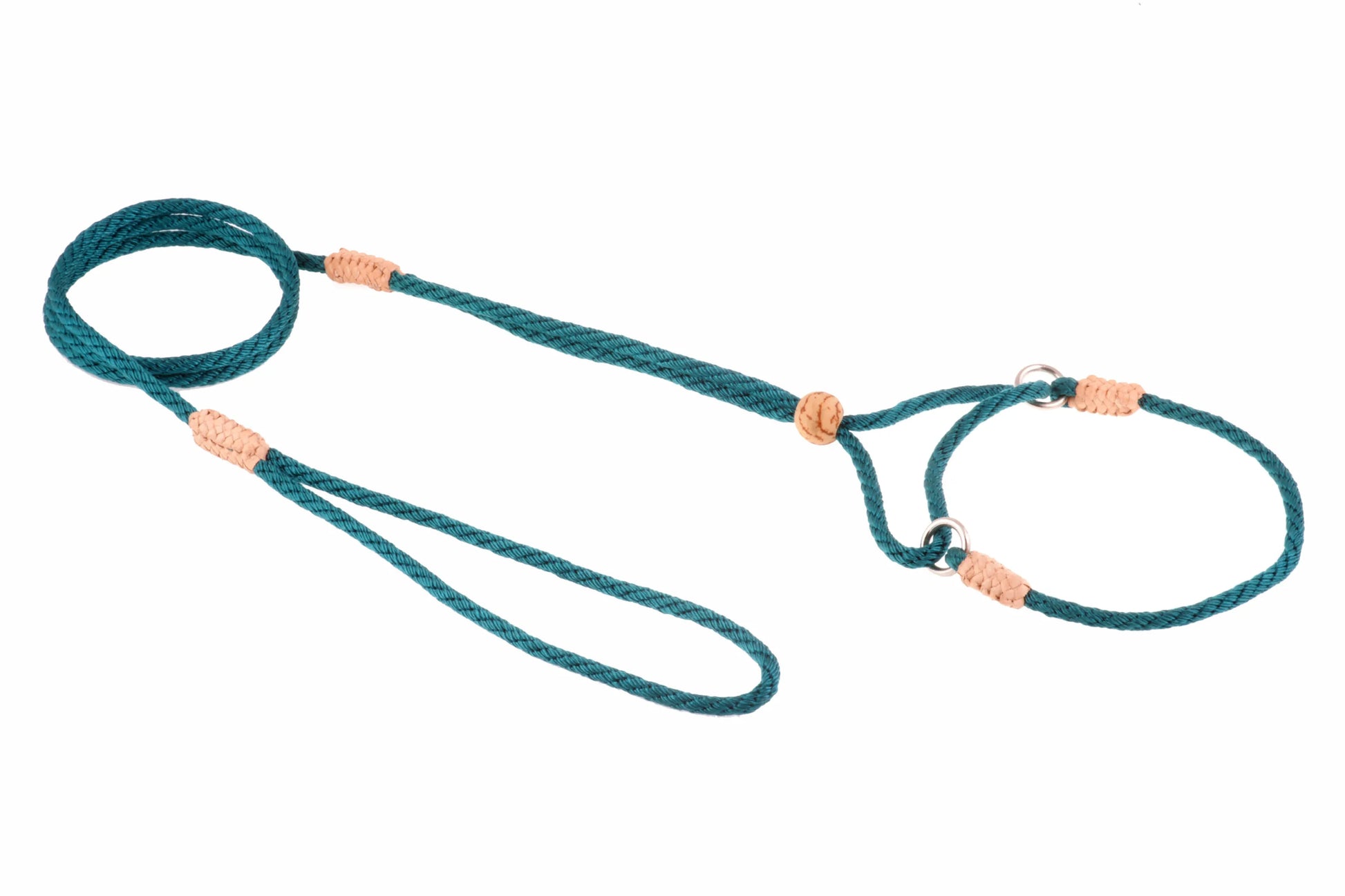 Nylon Martingale Leads (8in x 1/8in or 4mm) - Your Pet Connection