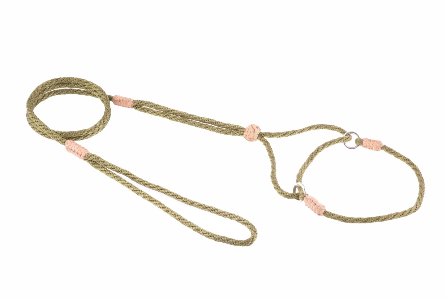 Nylon Martingale Leads (8in x 1/8in or 4mm) - Your Pet Connection