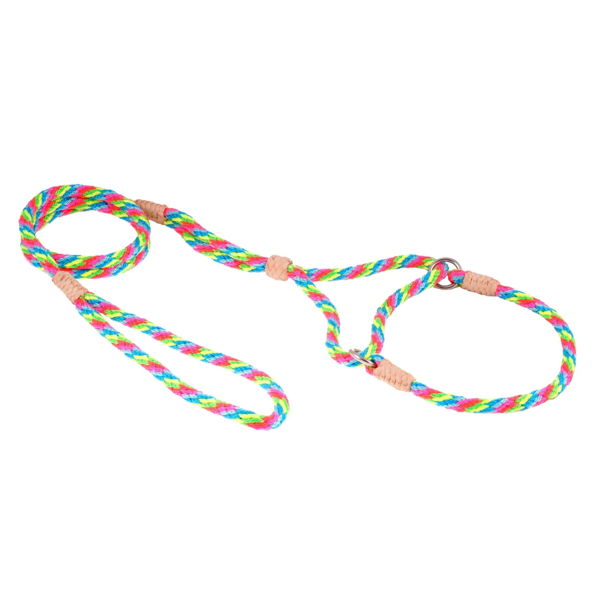 Nylon Martingale Leads (10in x 1/4in or 6mm) - Your Pet Connection