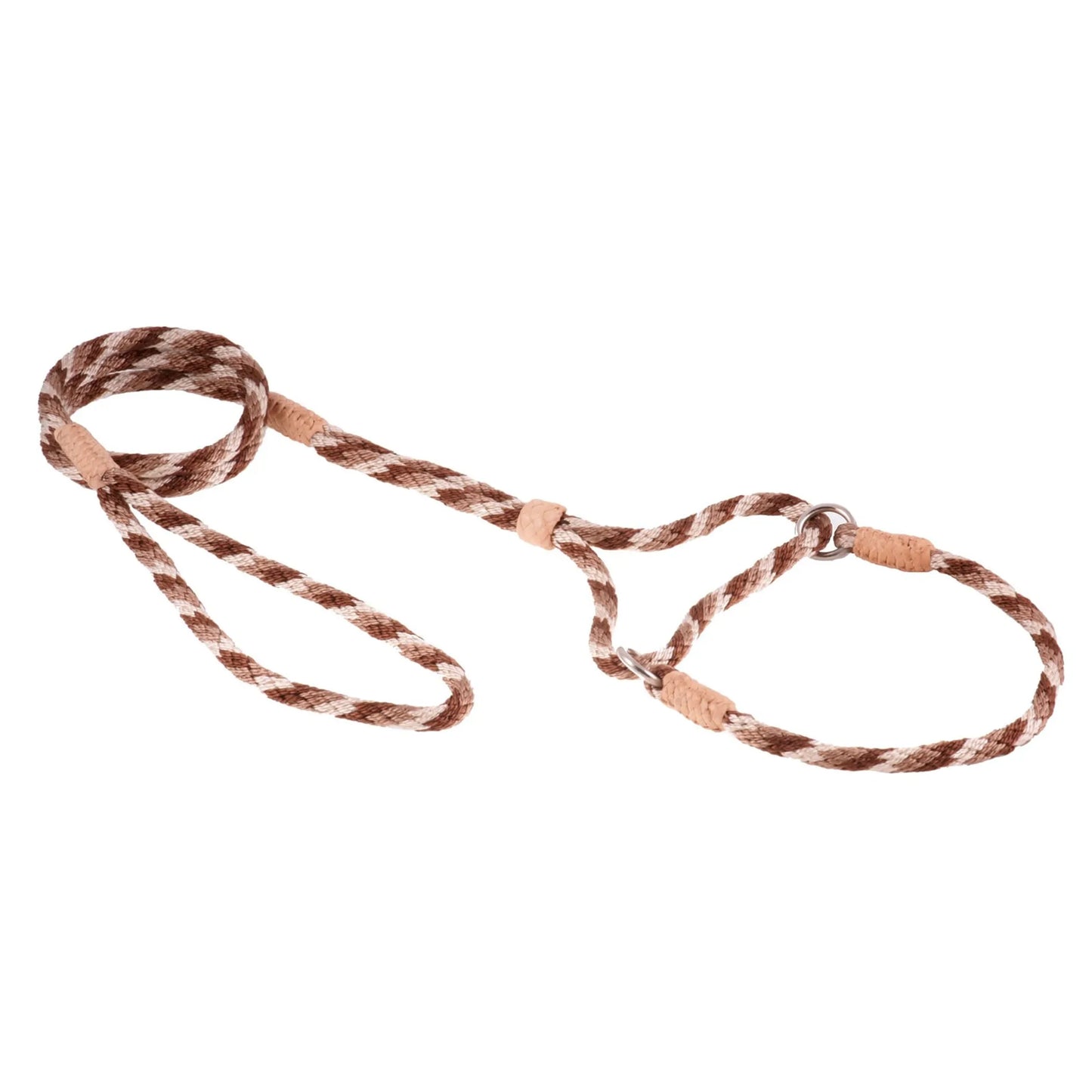 Nylon Martingale Leads (10in x 1/4in or 6mm) - Your Pet Connection