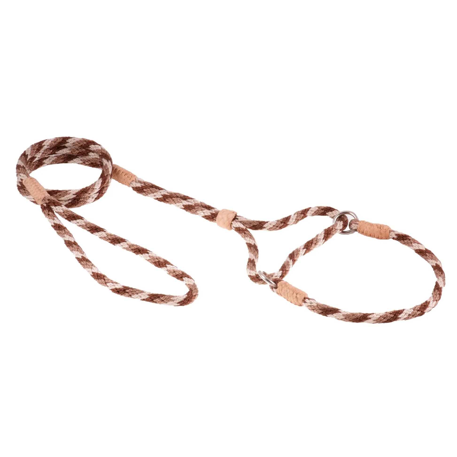 Nylon Martingale Leads (10in x 1/4in or 6mm) - Your Pet Connection
