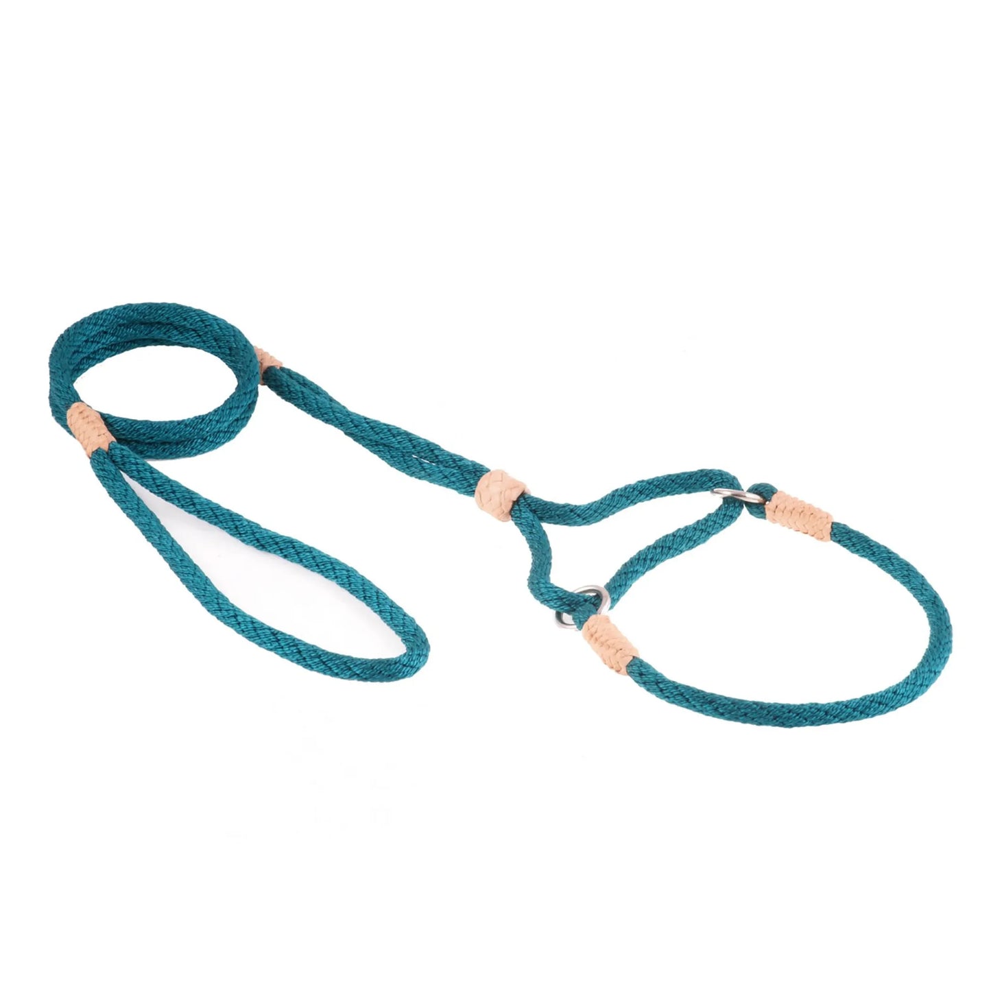 Nylon Martingale Leads (10in x 1/4in or 6mm) - Your Pet Connection