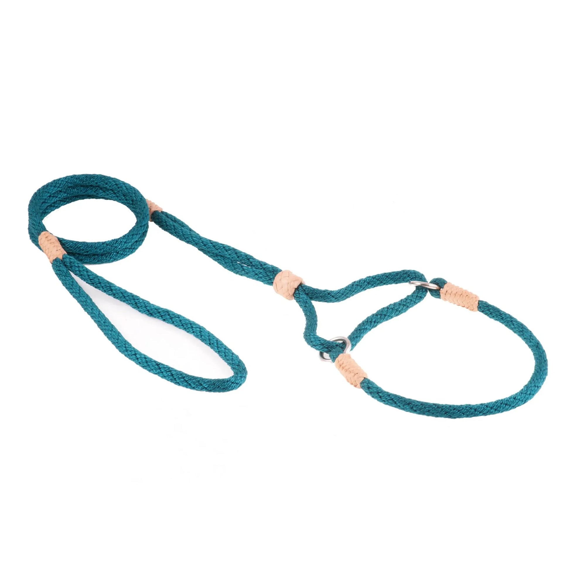 Nylon Martingale Leads (10in x 1/4in or 6mm) - Your Pet Connection