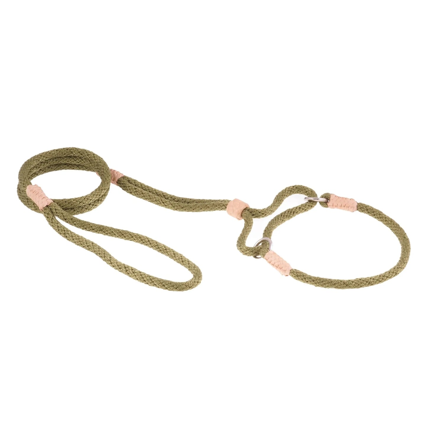 Nylon Martingale Leads (10in x 1/4in or 6mm) - Your Pet Connection