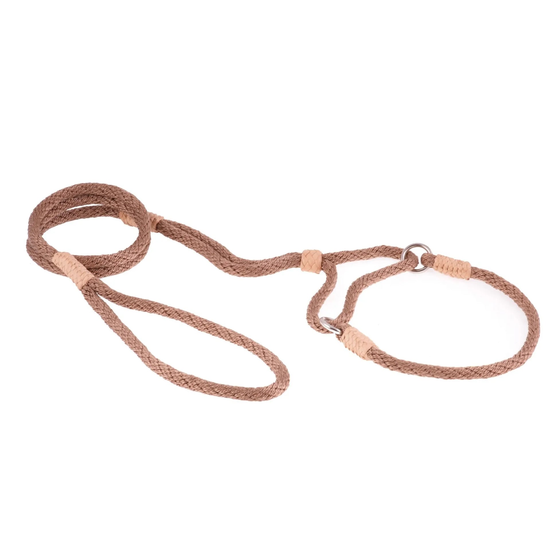 Nylon Martingale Leads (10in x 1/4in or 6mm) - Your Pet Connection