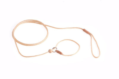 Nylon Slip Lead With Stopper (4 ft  x 1/16 or 2 mm) - Your Pet Connection