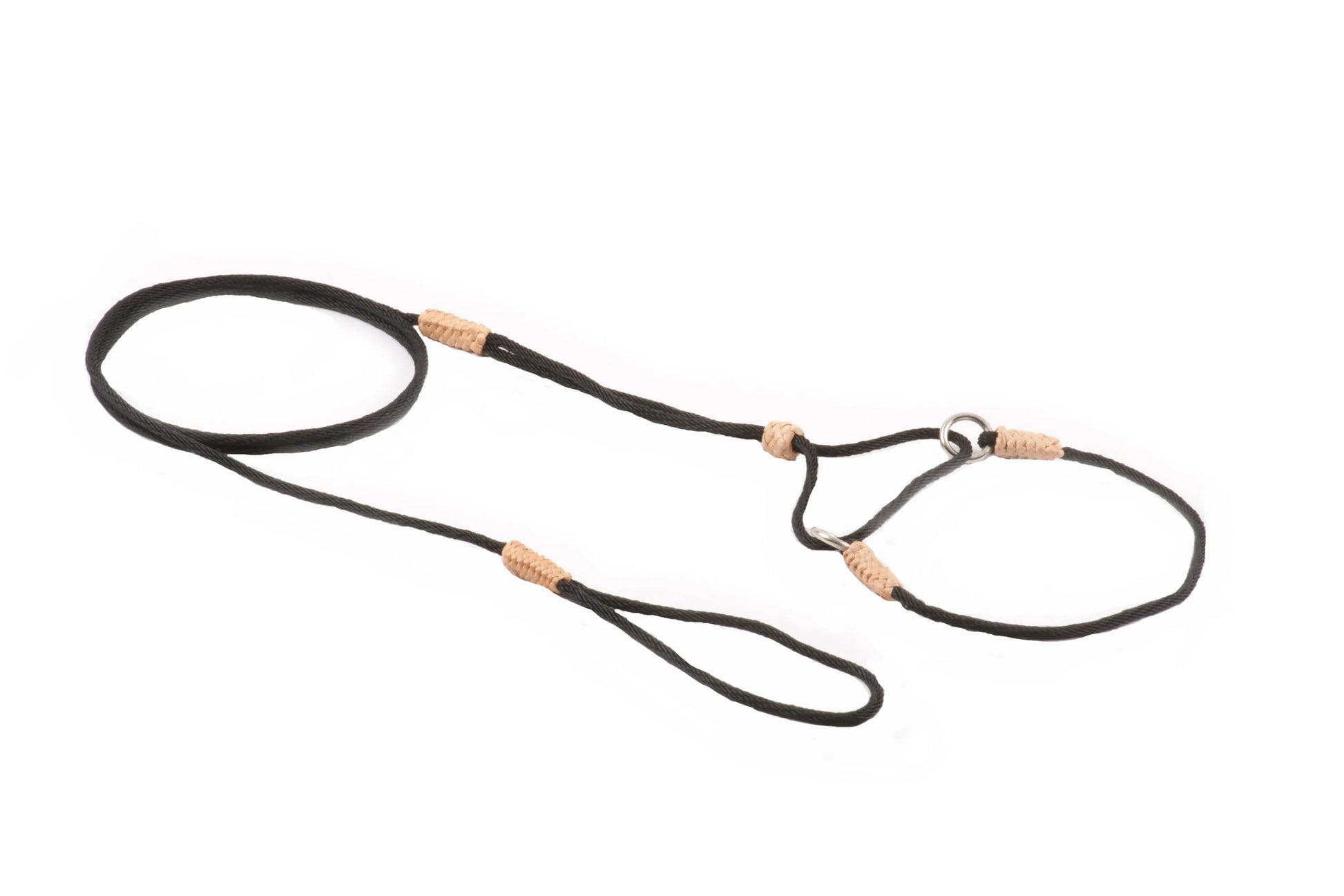 Nylon Martingale Leads (8in x 1/16 or 2 mm) - Your Pet Connection