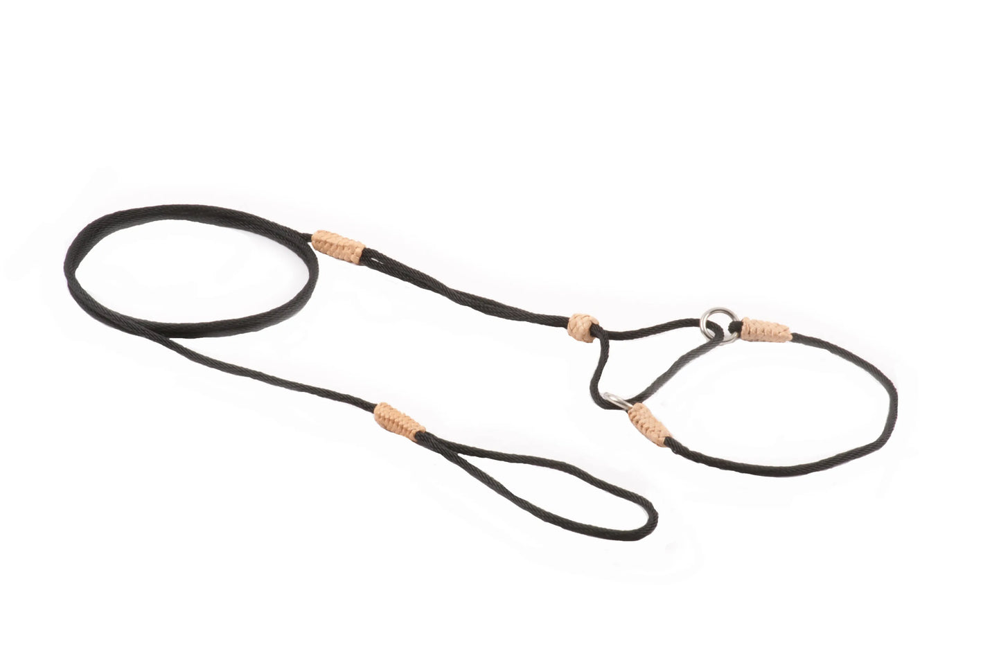 Nylon Martingale Leads (8in x 1/16 or 2 mm) - Your Pet Connection