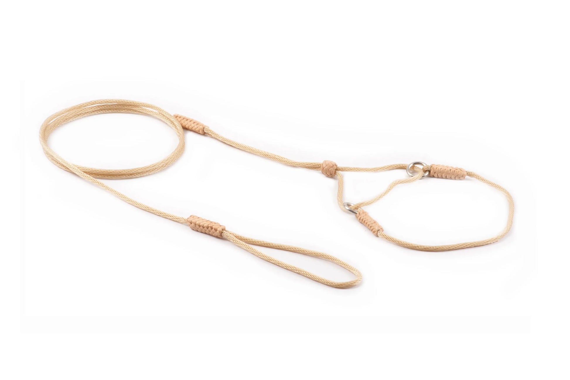 Nylon Martingale Leads (8in x 1/16 or 2 mm) - Your Pet Connection
